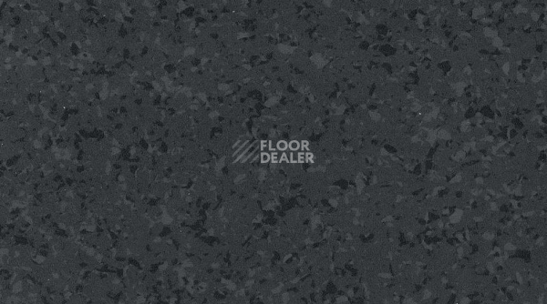 Линолеум Gerflor Mipolam Symbioz 6059 BLACK DIAMOND фото 1 | FLOORDEALER
